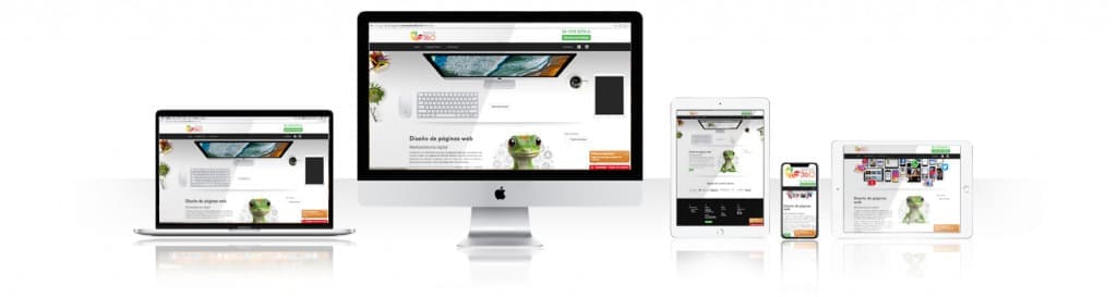 Agencia de desarrollo web